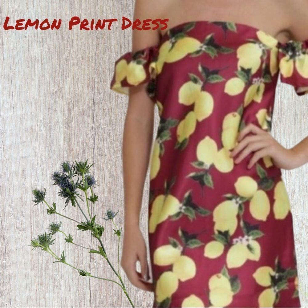 NWT, Lemon-Print Knee-Length Off Shoulder Dress in Dark Red - Med & Large